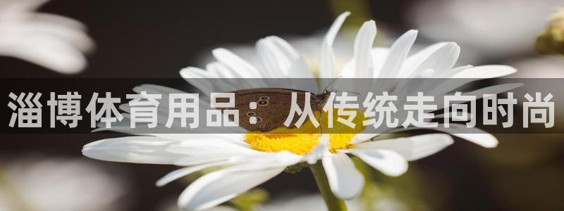 意昂体育4官方客服电话:淄博体育用品:从传统走向时尚