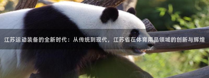 意昂体育4平台假的吗是真的吗吗:江苏运动装备的全新时代:从传