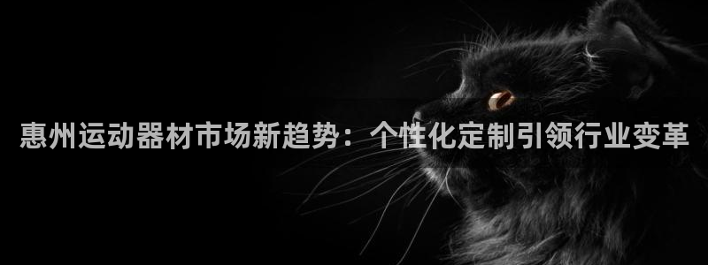 意昂4五金厂:惠州运动器材市场新趋势:个性化定制引领行业变革