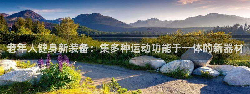 意昂平台体育:老年人健身新装备:集多种运动功能于一体的新器材