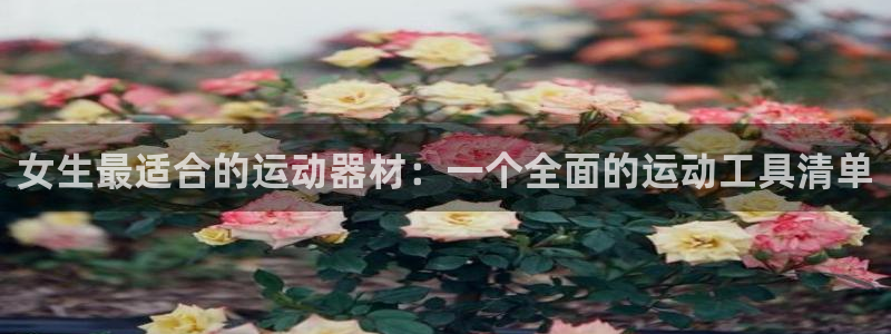 意昂4神州:女生最适合的运动器材:一个全面的运动工具清单